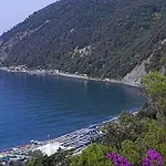 Venino
