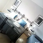 Venino *