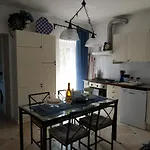 Venino