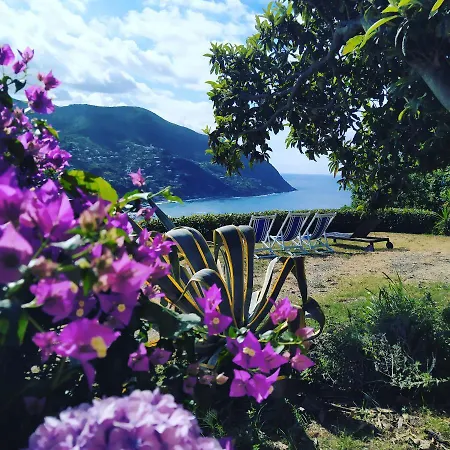 Venino Moneglia