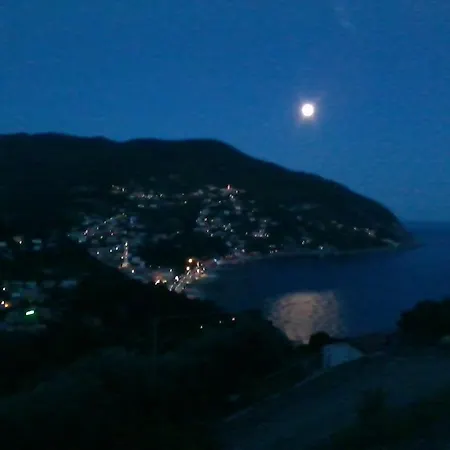 Venino