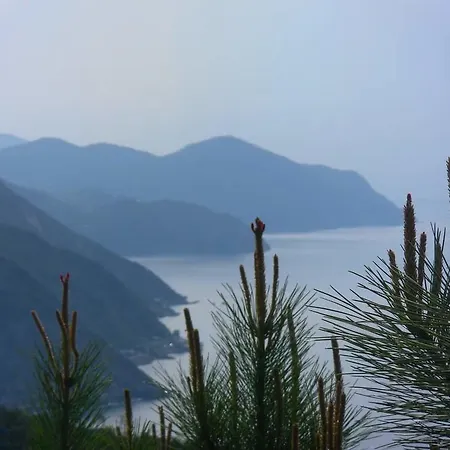 Venino Casa vacanze Moneglia