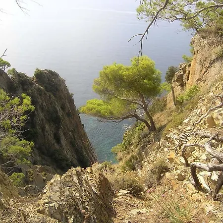 Nyaraló Venino Moneglia