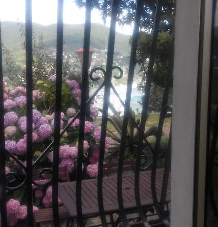 Venino Moneglia