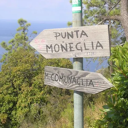 Venino Moneglia