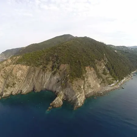 Venino Moneglia