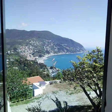 Venino Moneglia