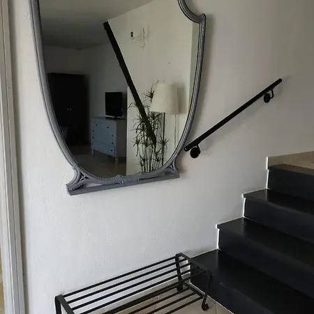 Venino *