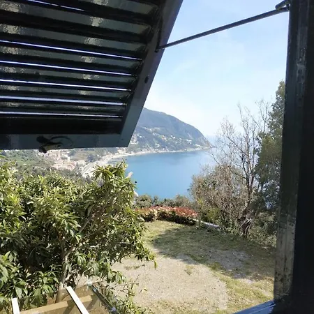 Venino *