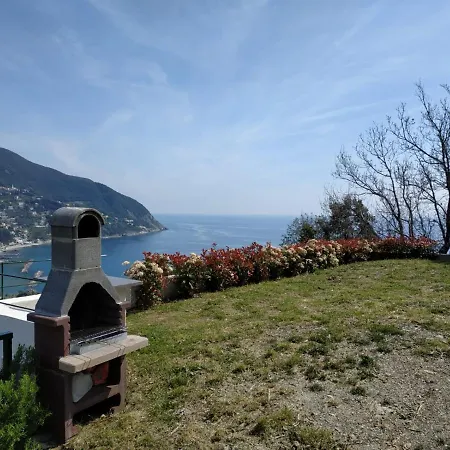 Venino